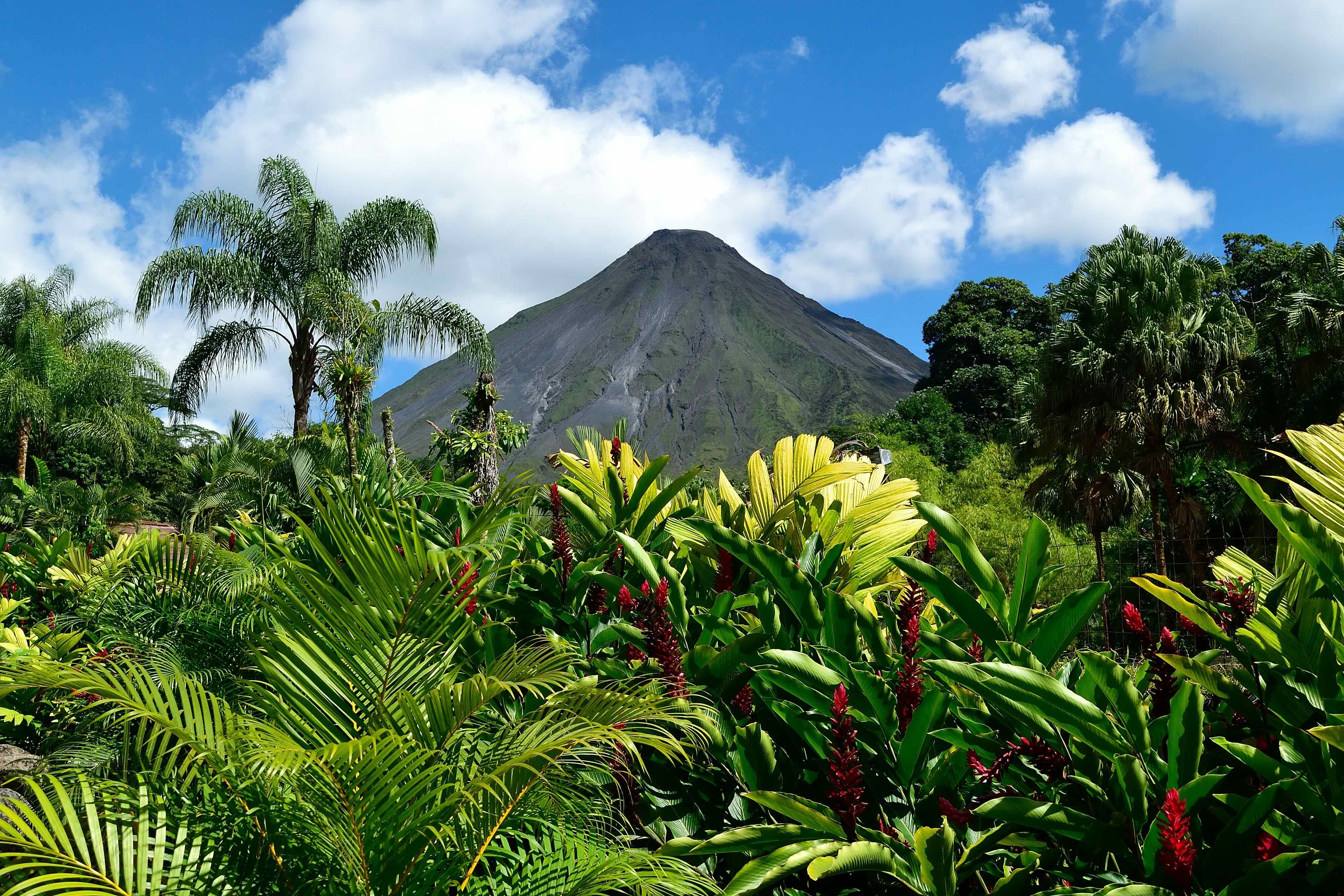 spring26-hawaii-blog-8