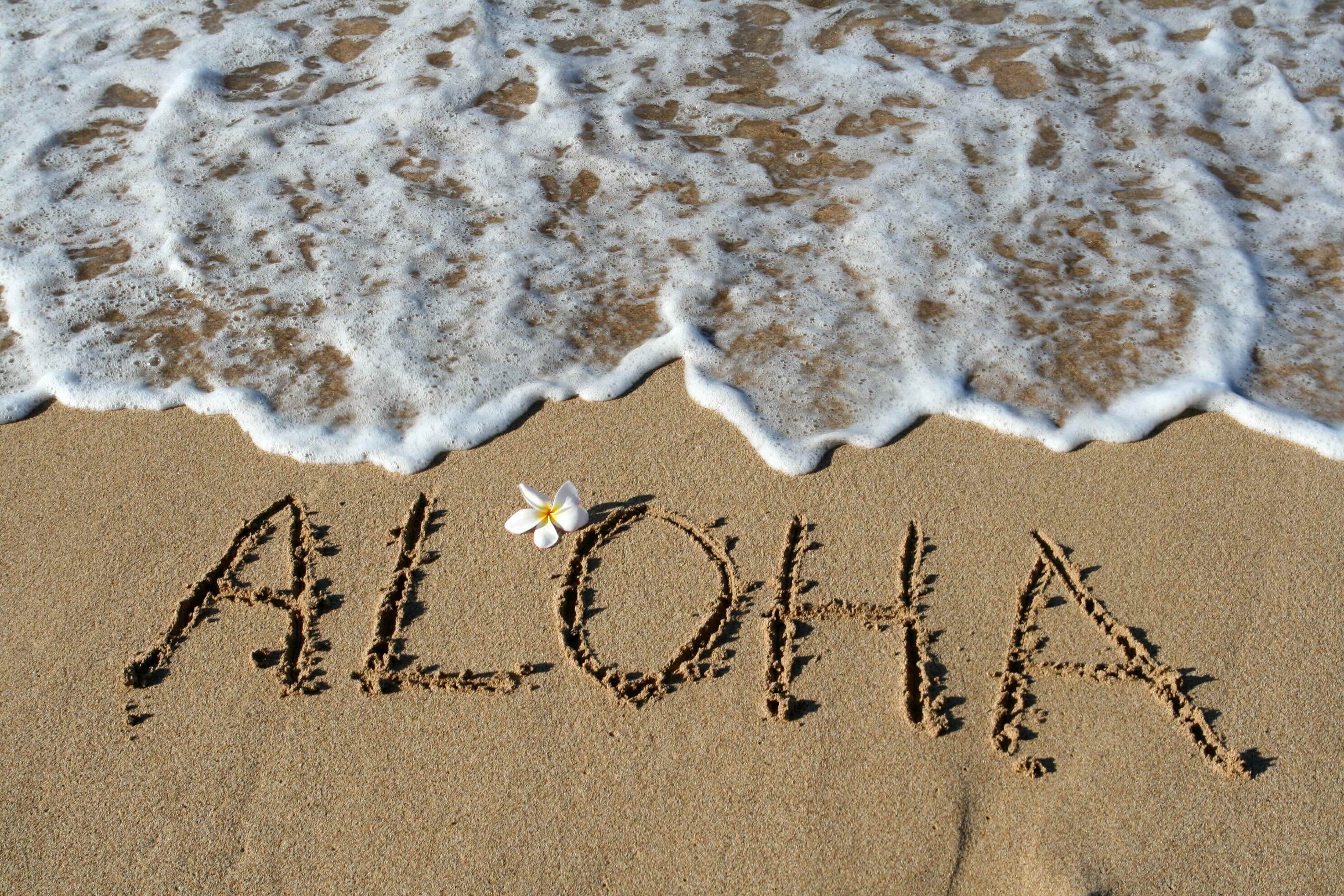 spring26-hawaii-blog-6