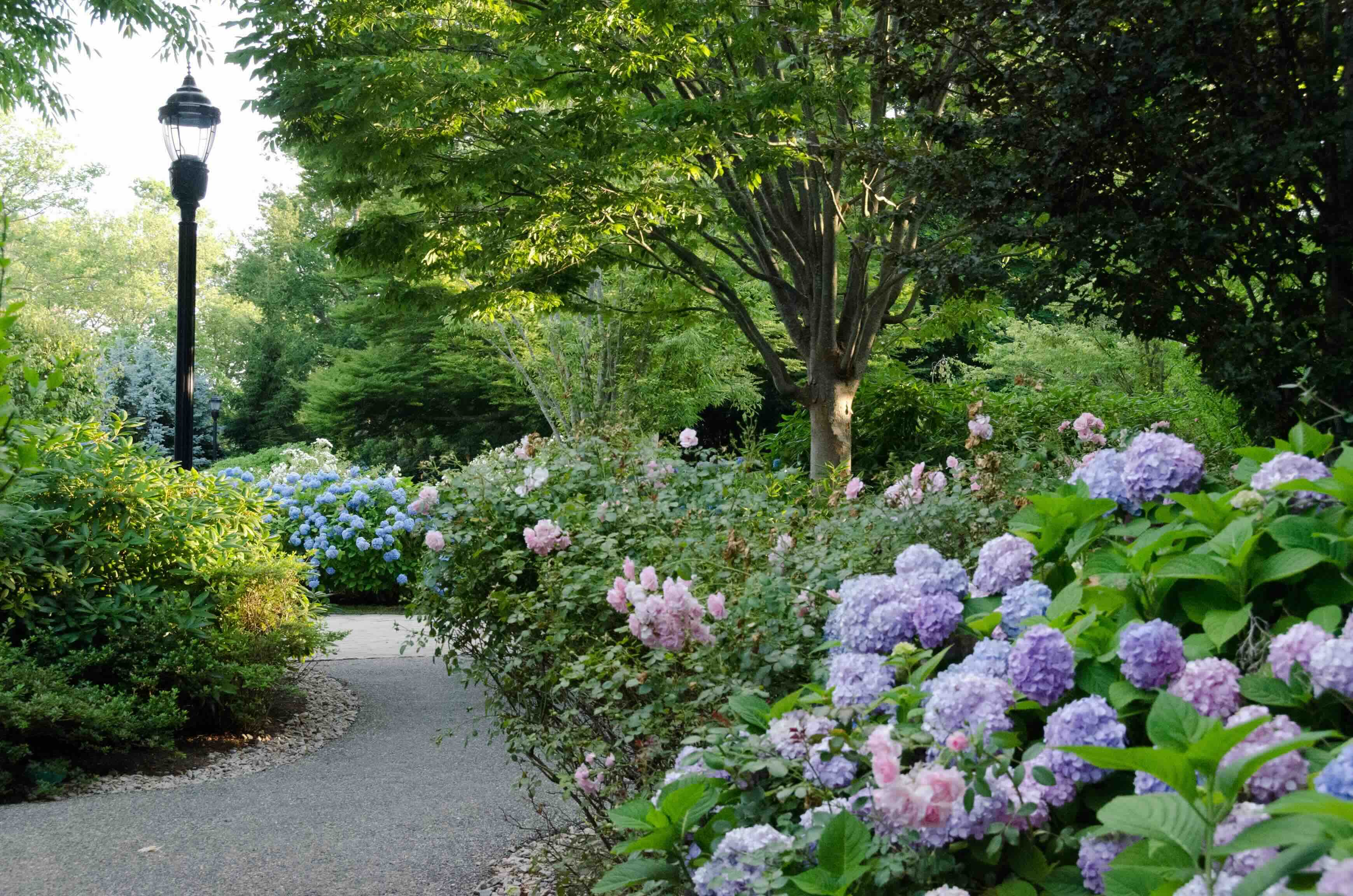 spring26-rhode-island-blog-5