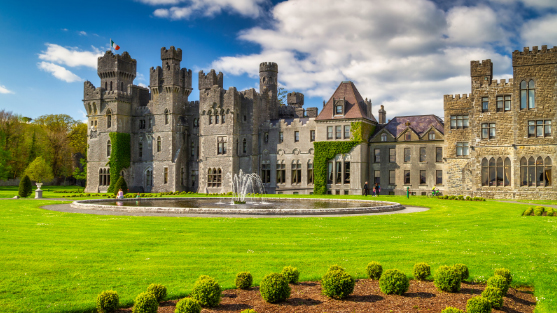 aaa-ashfordcastle-section
