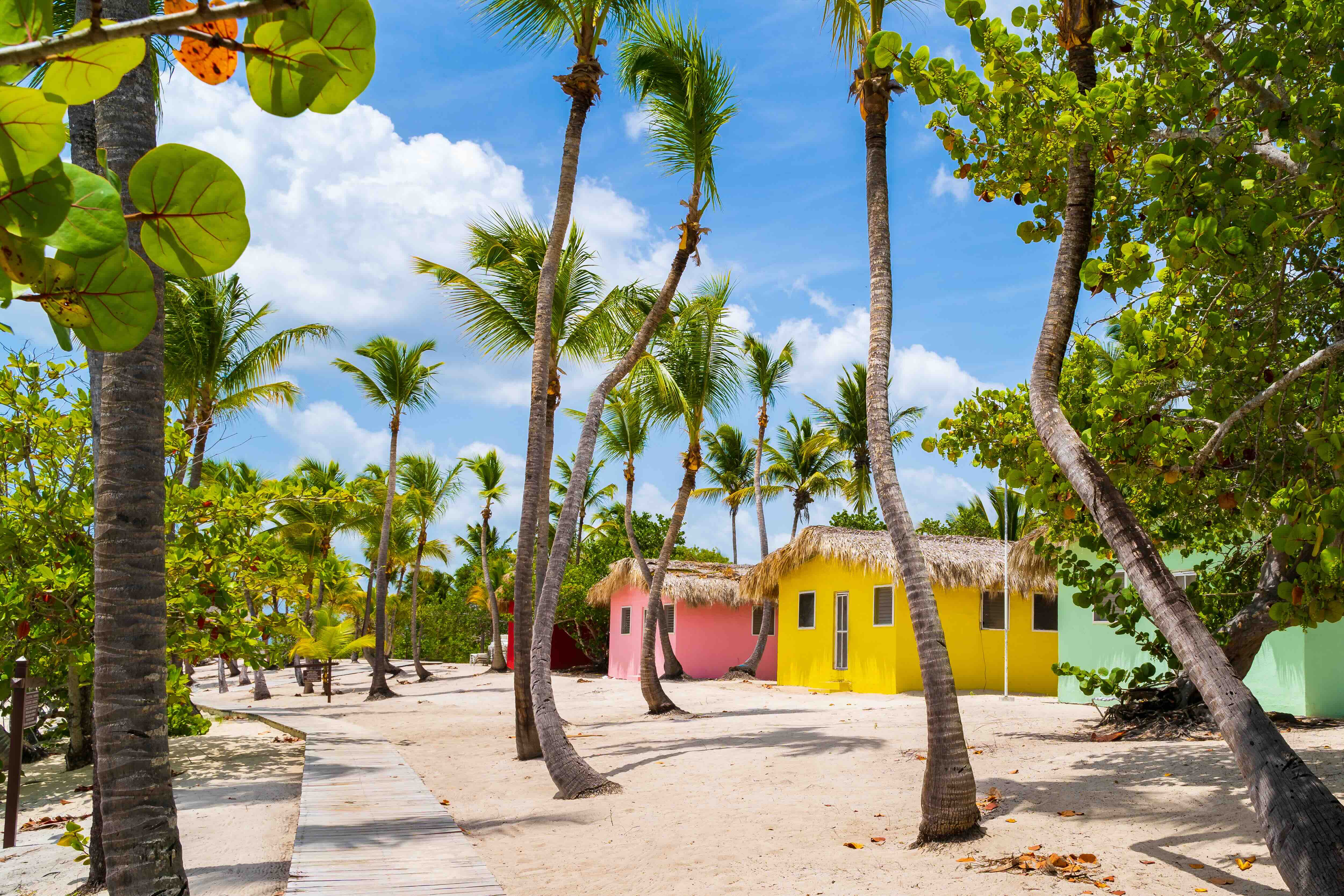 spring26-dominican-blog-3