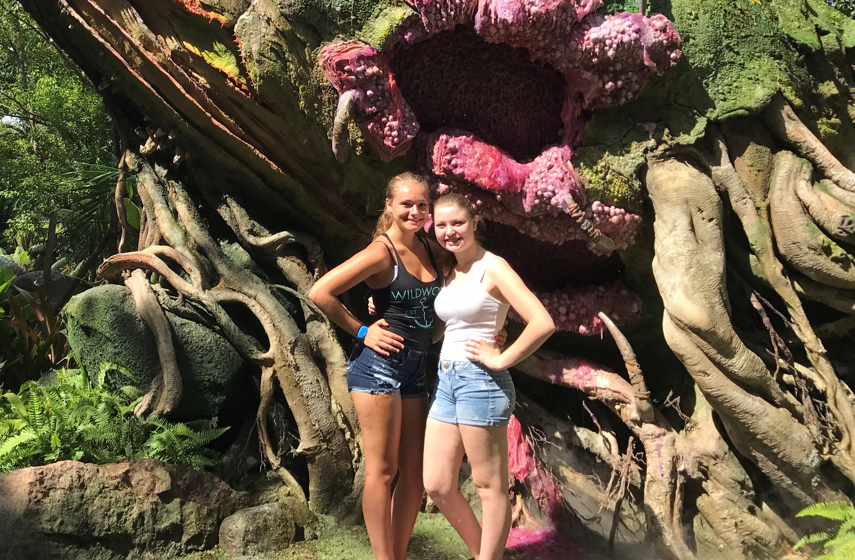 Disney Vacations Testimonial Teaser