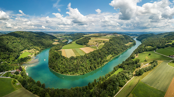 Rhine-River-January-Section-Image-557x313