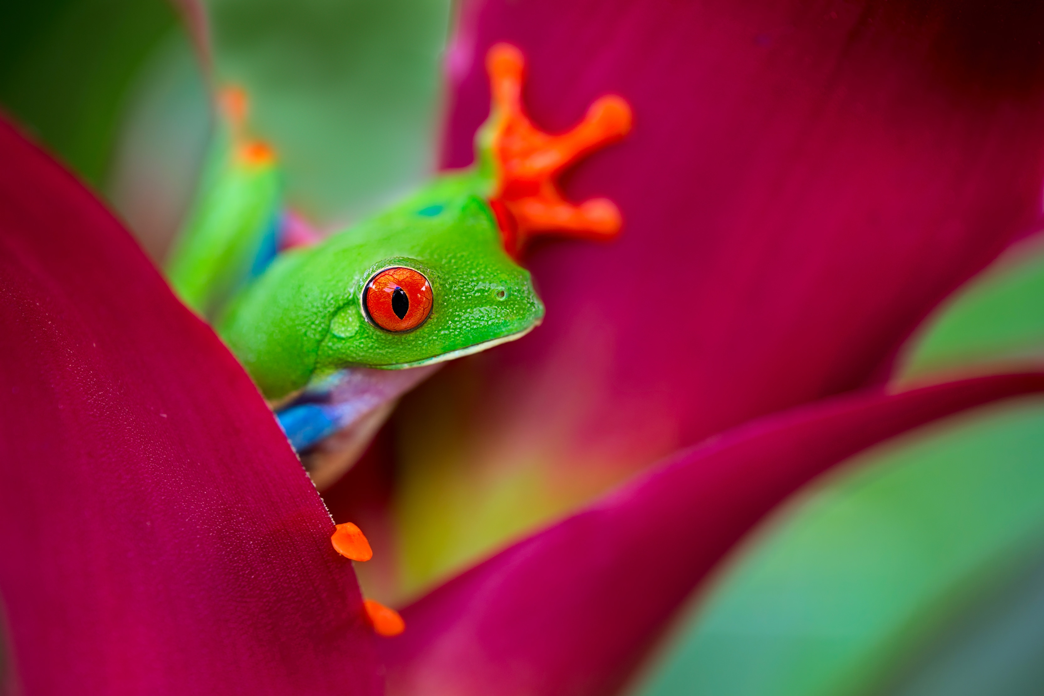 spring26-costa-rica-blog-5