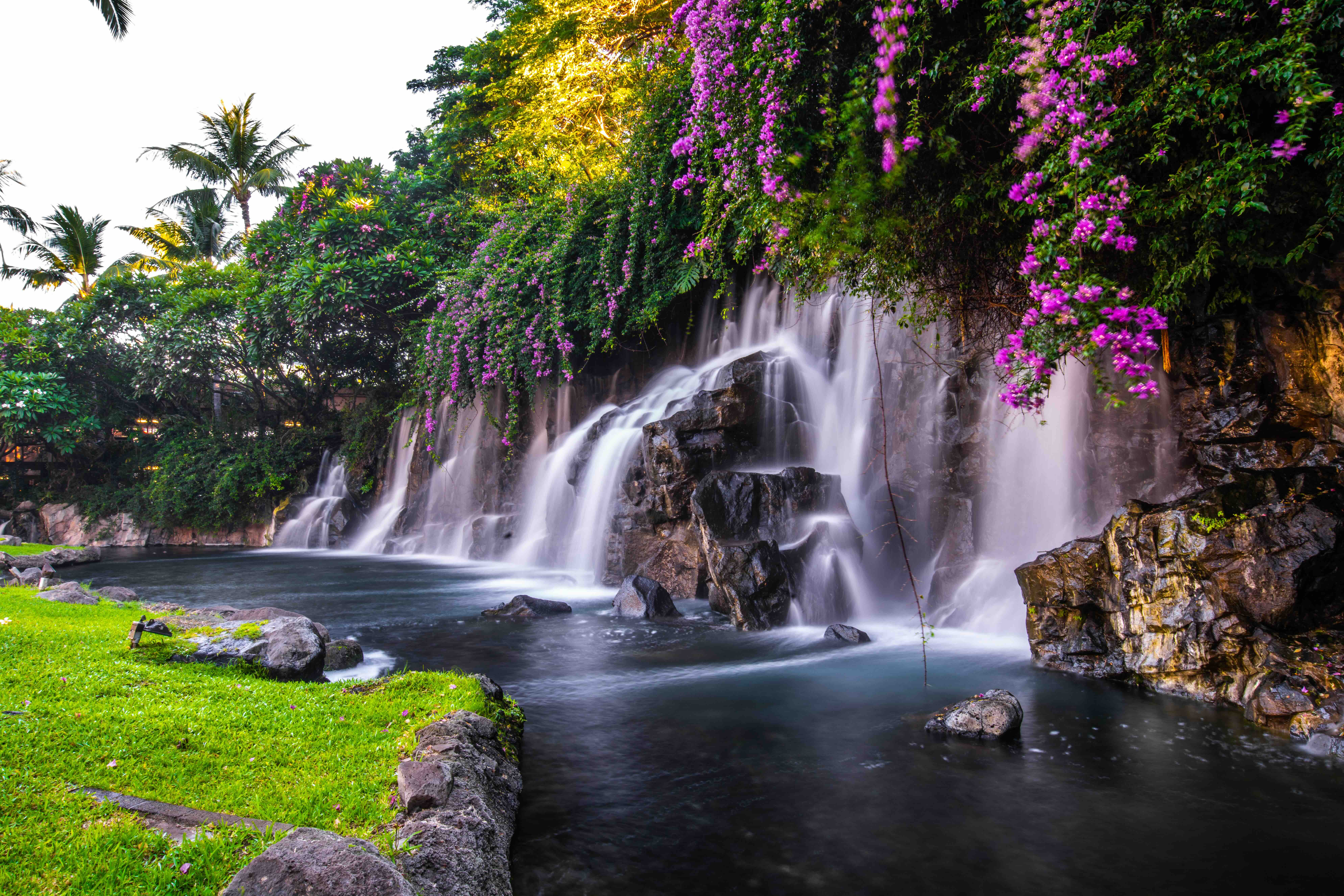 spring26-hawaii-blog-2