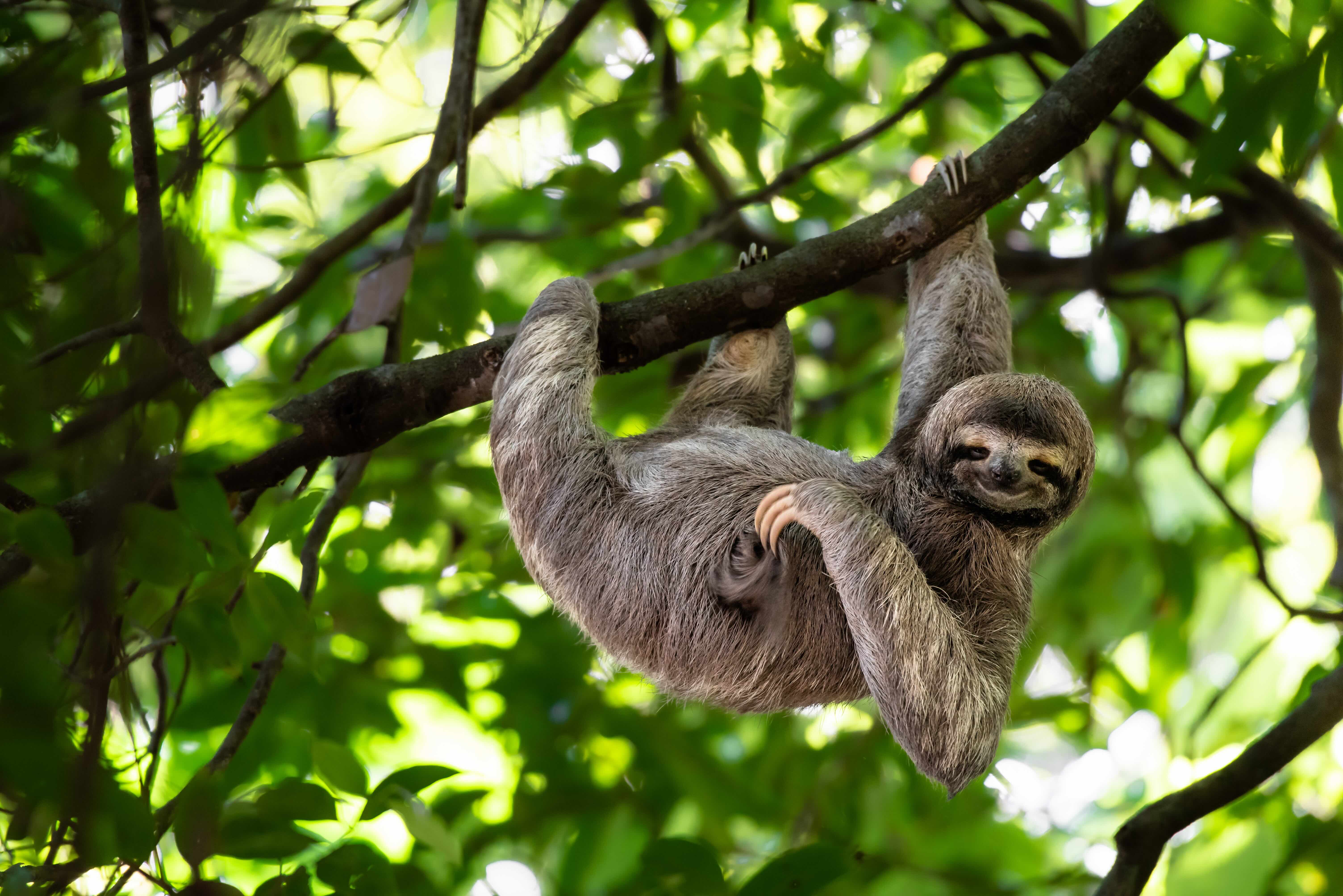 spring26-costa-rica-blog-2