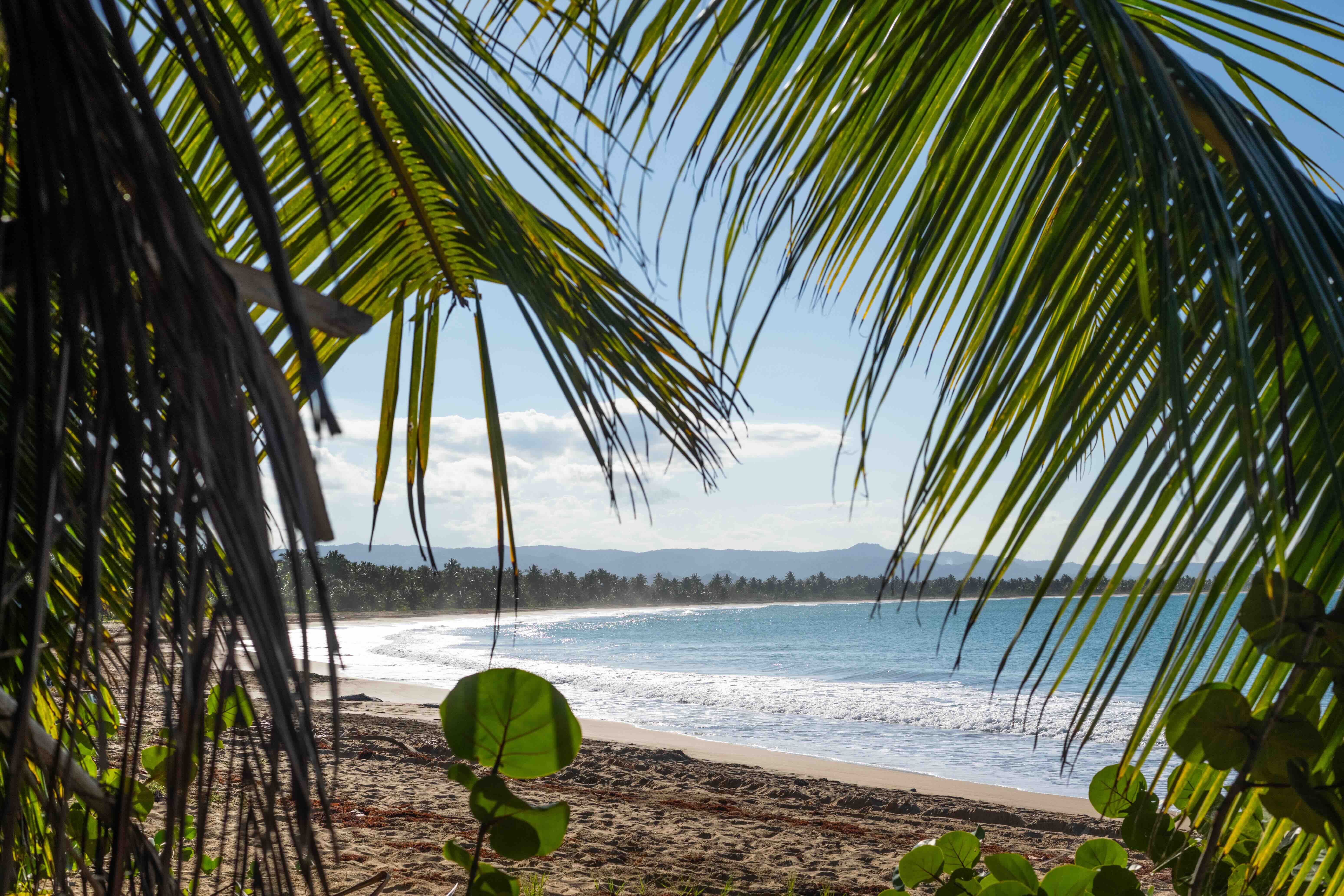 spring26-dominican-blog-5